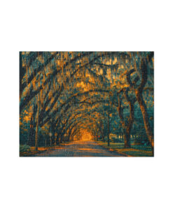 Magnolia Street St. Augustine Jigsaw puzzle