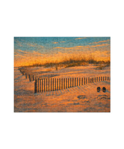 F Street St. Augustine Jigsaw puzzle