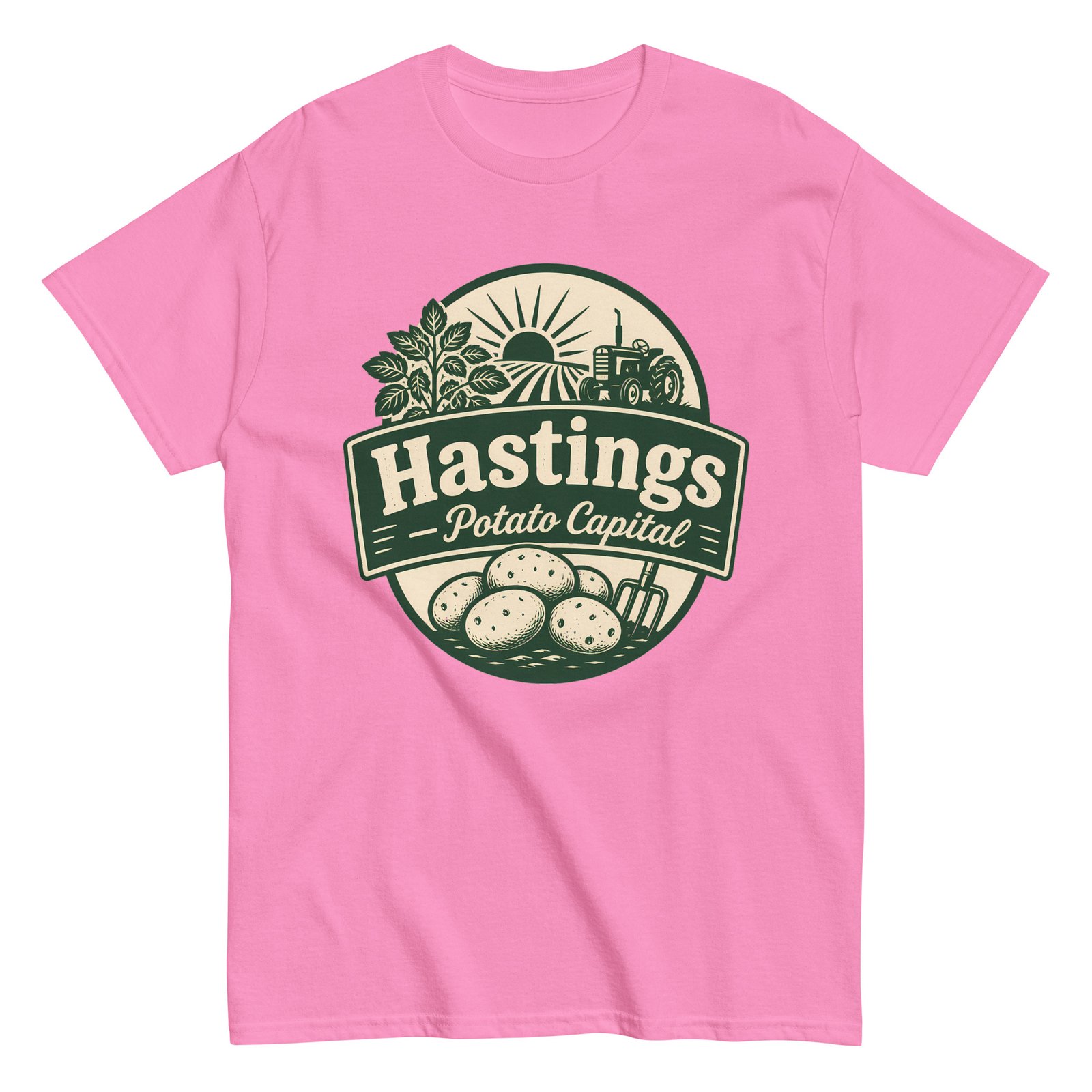 Hastings FL Potato Capital Unisex classic tee - Image 7