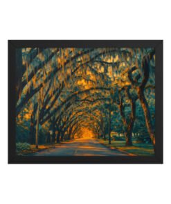 Magnolia Street St. Augustine AI Render Framed poster - Image 5
