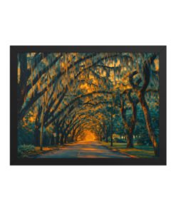Magnolia Street St. Augustine AI Render Framed poster
