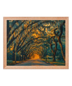 Magnolia Street St. Augustine AI Render Framed poster - Image 6