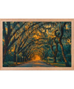 Magnolia Street St. Augustine AI Render Framed poster - Image 11