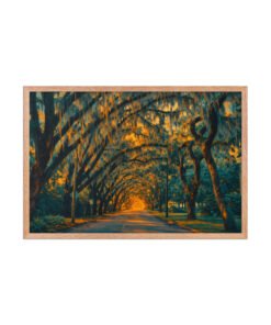 Magnolia Street St. Augustine AI Render Framed poster - Image 20