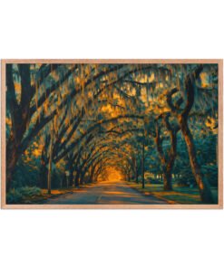 Magnolia Street St. Augustine AI Render Framed poster - Image 23
