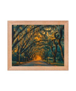 Magnolia Street St. Augustine AI Render Framed poster - Image 3