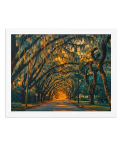 Magnolia Street St. Augustine AI Render Framed poster - Image 7