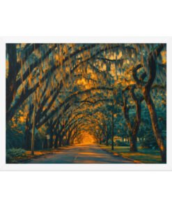 Magnolia Street St. Augustine AI Render Framed poster - Image 18