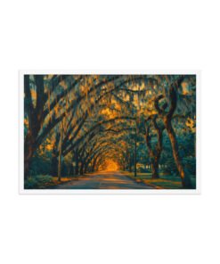 Magnolia Street St. Augustine AI Render Framed poster - Image 21