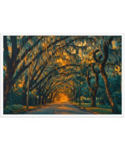 Magnolia Street St. Augustine AI Render Framed poster - Image 24