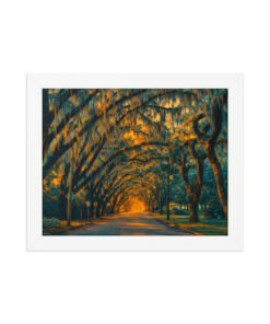 Magnolia Street St. Augustine AI Render Framed poster - Image 4