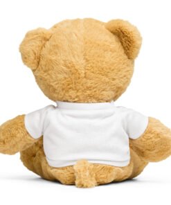 St. Augustine Historic City Rainbow Teddy bear with a t-shirt - Image 3