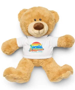St. Augustine Historic City Rainbow Teddy bear with a t-shirt