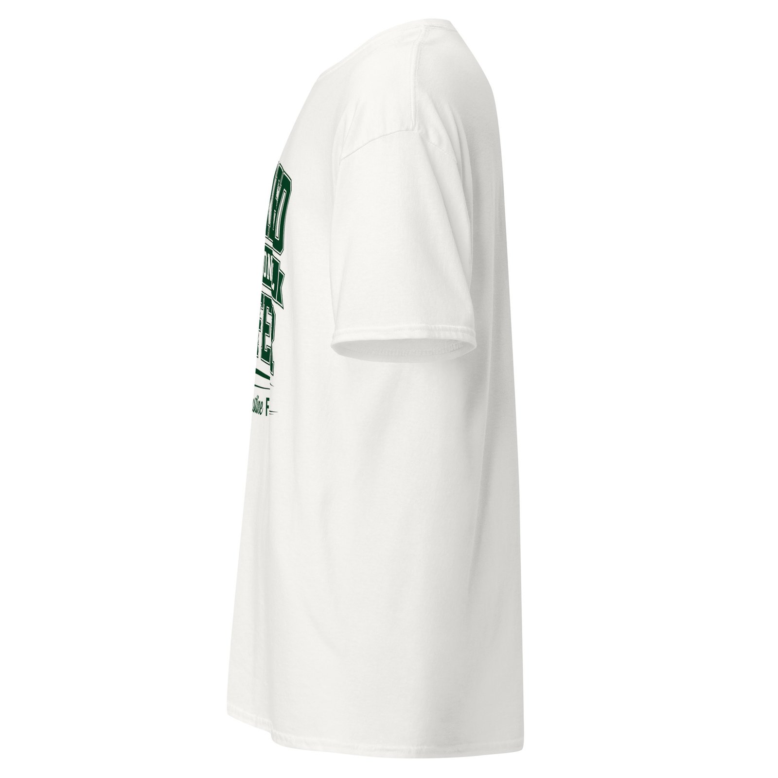 Retired Professional Golfer St. Augustine Unisex tee - Image 4